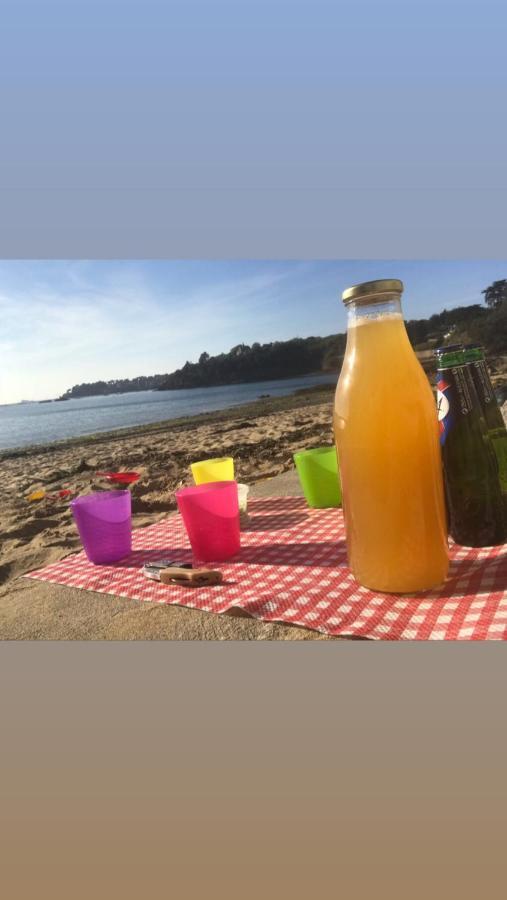 Gite La Briantaise Saint-Malo Buitenkant foto